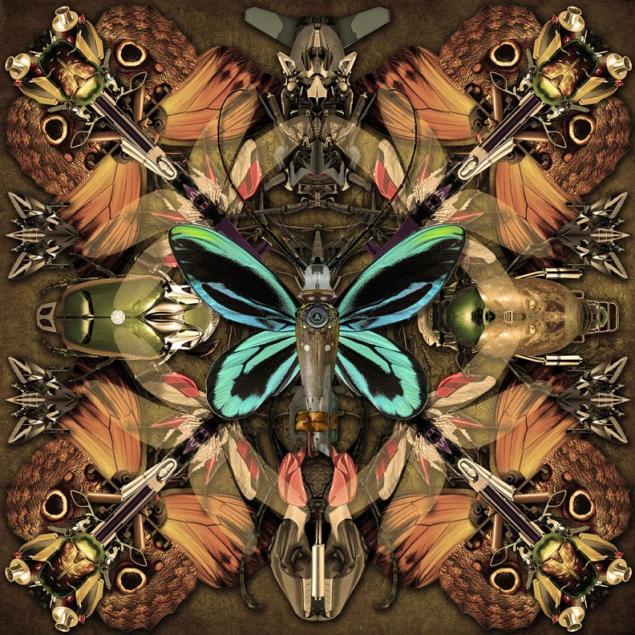Victorinsect Box2