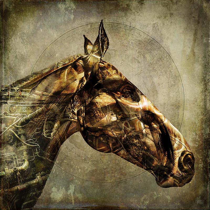 Iron Horse