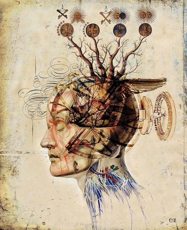 The Lucid Dream