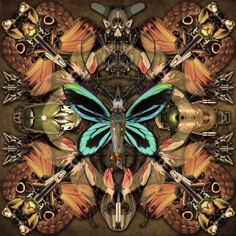 Victorinsect Box 2