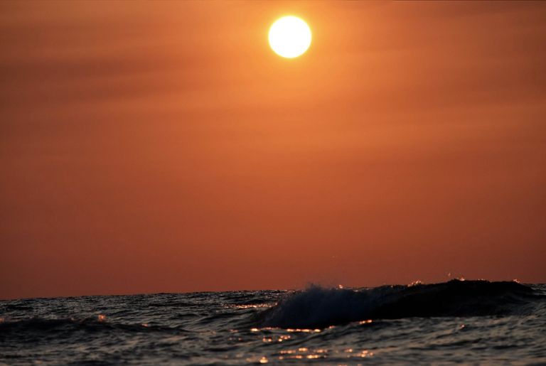 Where waves and sunset collide, by Nicole Martinelli