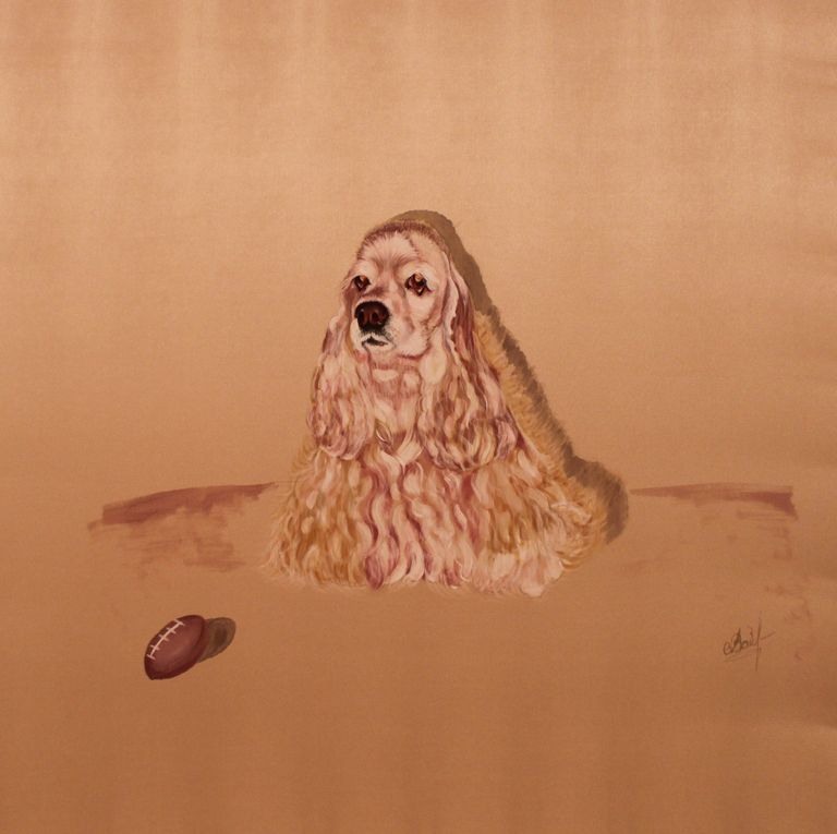 Shawl cocker spaniel