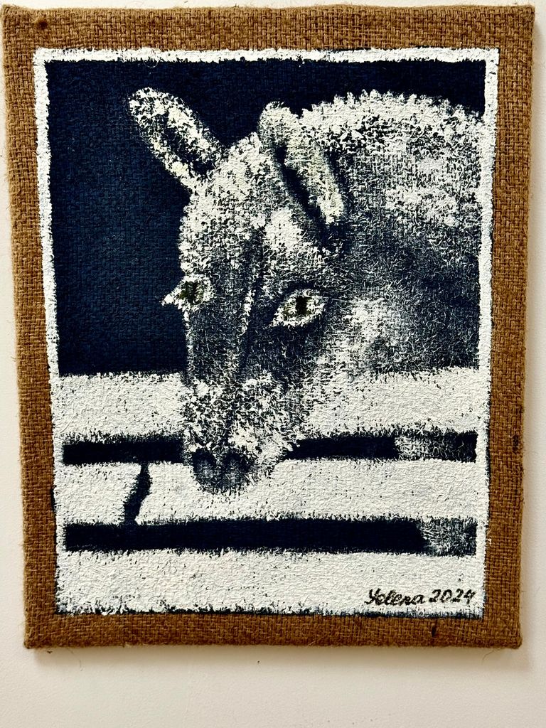 "Donkey"