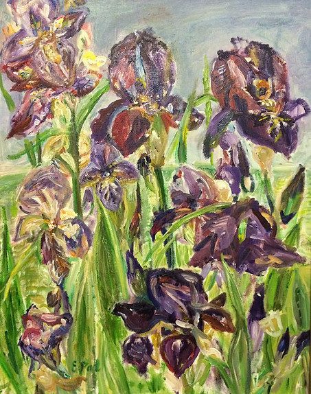 Irises