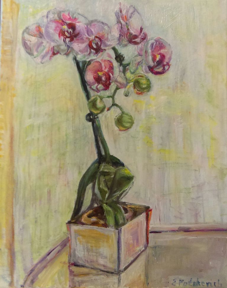 Gentle Orchids