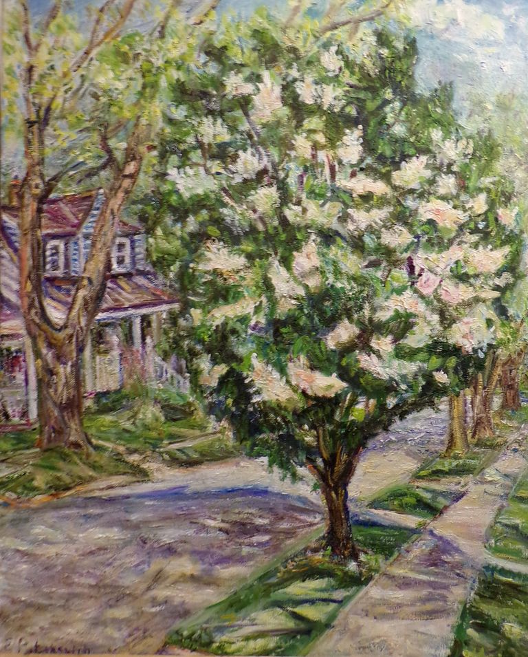 Japanese Lilac tree