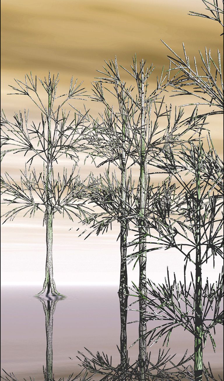 Dead Leaves