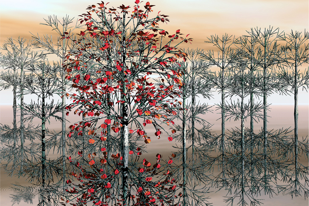 Ansels Trees
