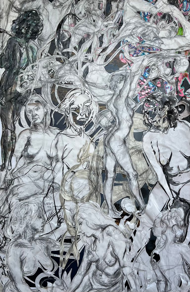 Bodies in Transition